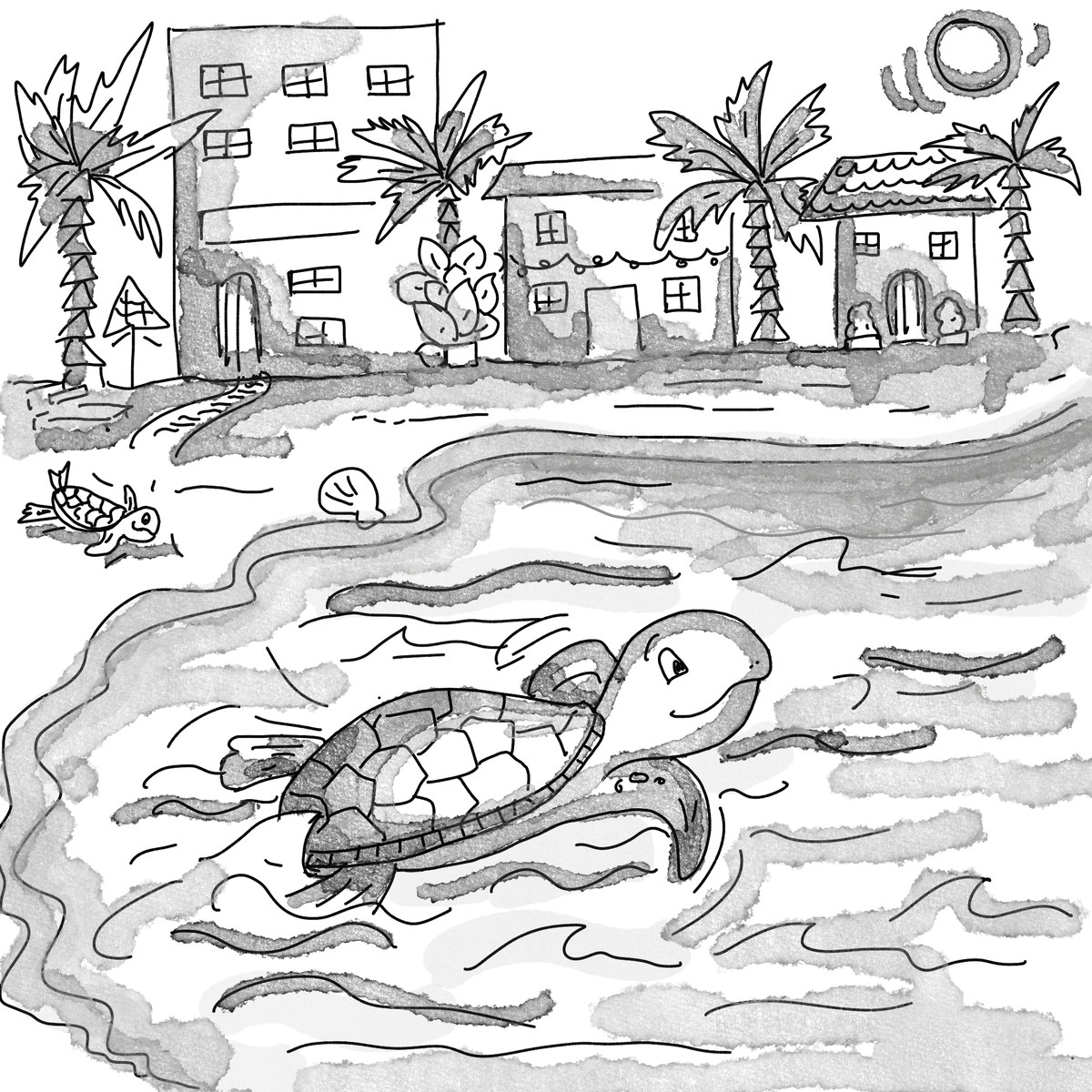 A sea turtle off the coast of Sri Lanka